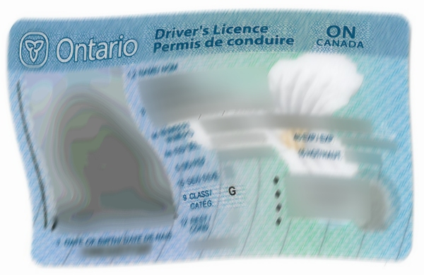 novice drivers often blank to decelerate